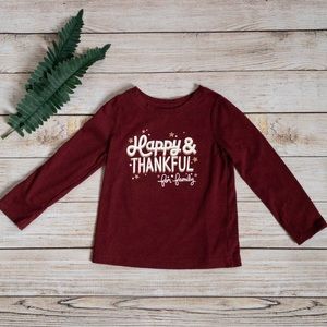 Thanksgiving fall long sleeve shirt. Size 3T.